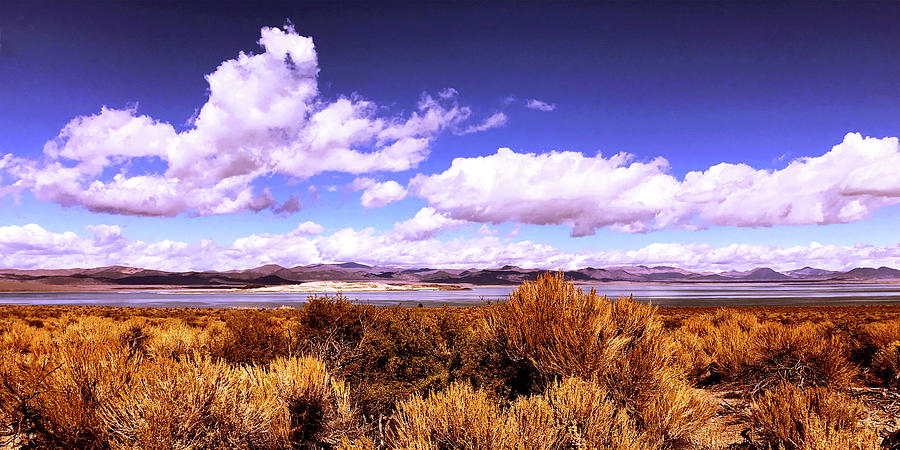 Gold And Blue - Mono Lake Autumn Scene Photograph by Walter Fahmy