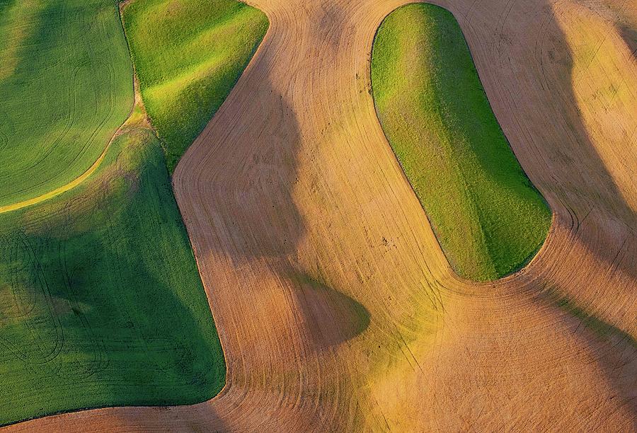 Gold and Green Fields Photograph by Doug Davidson