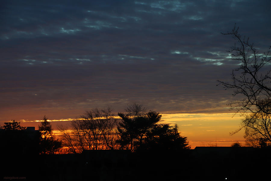 Gold and Purple Sunrise February 17 2021 Photograph by Miriam A Kilmer
