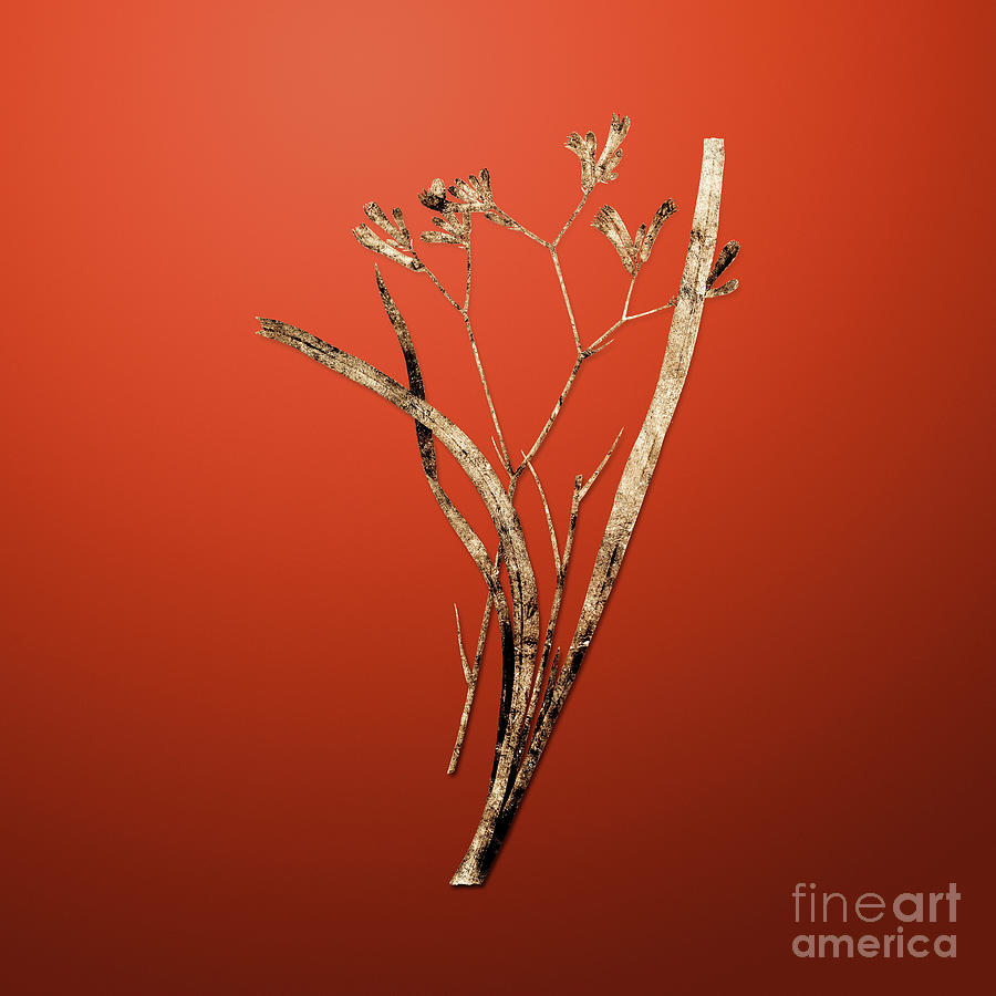 Gold Anigozanthos Flavida on Tomato Red n.02444 Painting by Holy Rock Design