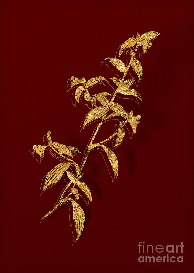 Gold Birdbill Dayflower Botanical Illustration on Red Mixed Media by Holy Rock Design
