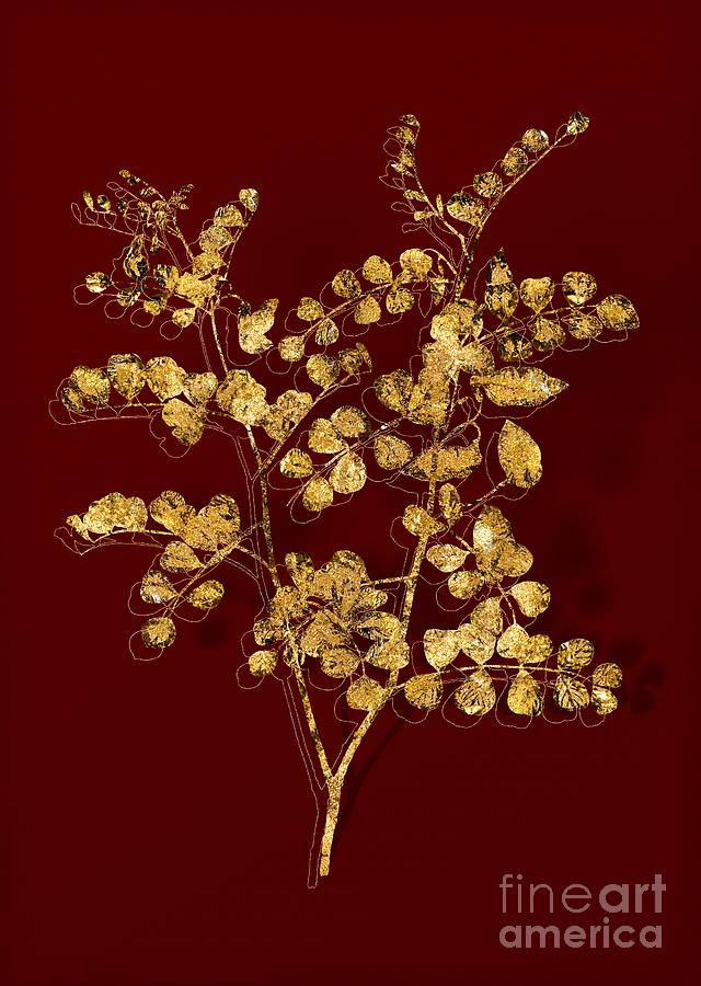 Gold Blood Spotted Bladder Senna Botanical Illustration on Red Mixed Media by Holy Rock Design