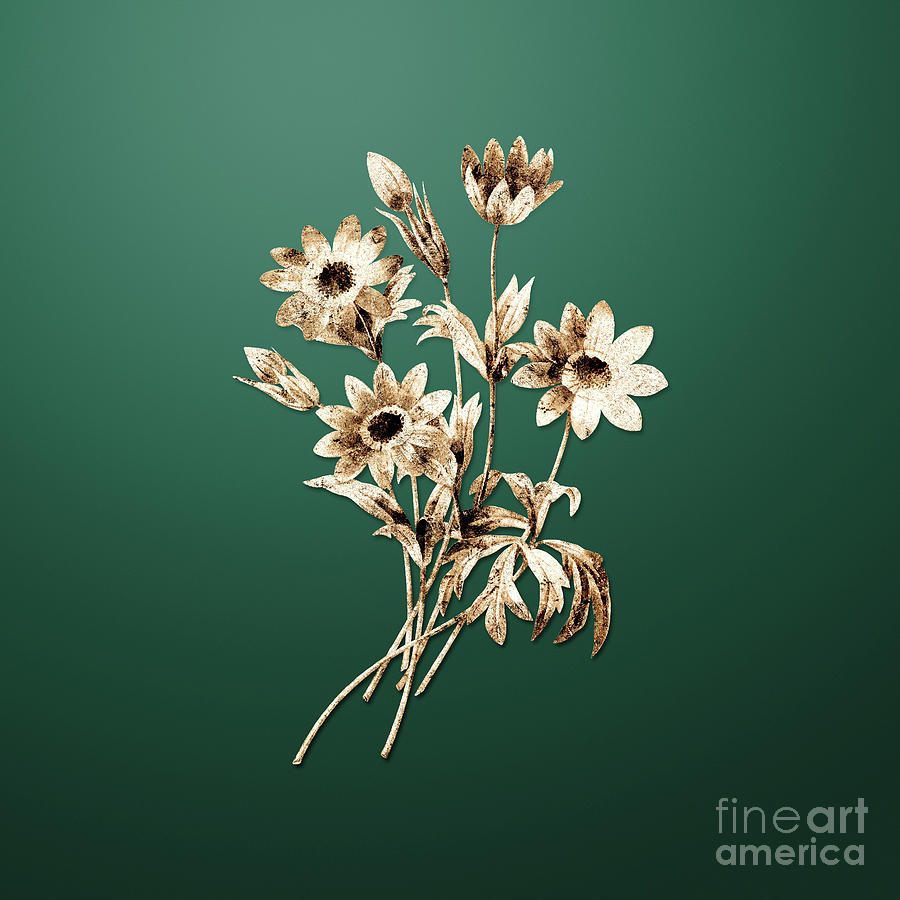 Gold Broad Leaved Anemone on Dark Spring Green n.02494 Painting by Holy Rock Design