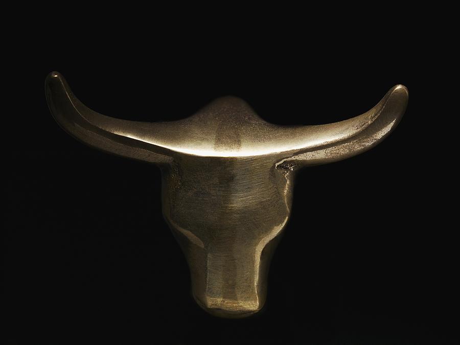 Gold bull head Photograph by Mark Weiss