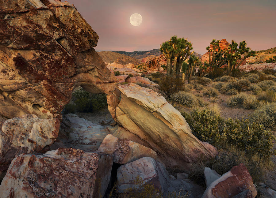 Gold Butte Desert Moonrise Photograph by Leland D Howard