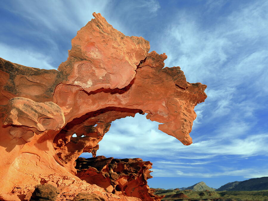 Gold Butte National Monument Photograph by Alex Nikitsin Fine Art America