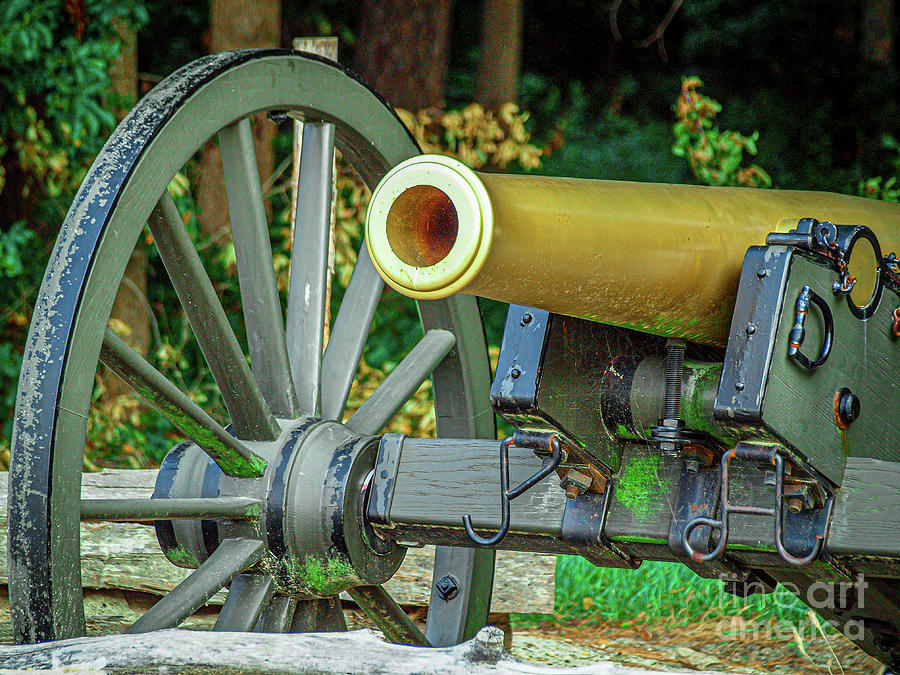 Gold Canon Photograph by Tom Claud