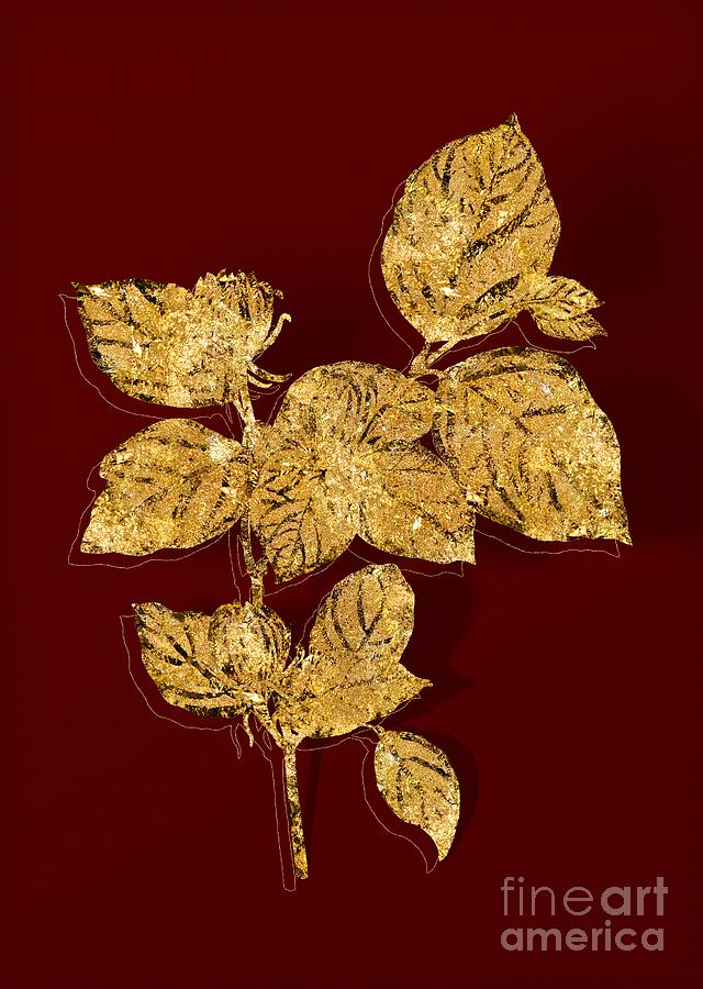 Gold Carolina Allspice Flower Botanical Illustration on Red Mixed Media by Holy Rock Design