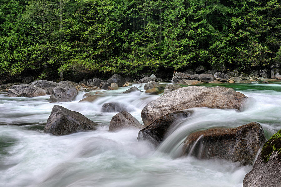 Gold Creek Flows Photograph by Michael Russell Gold Creek Flows Photograph by Michael Russell