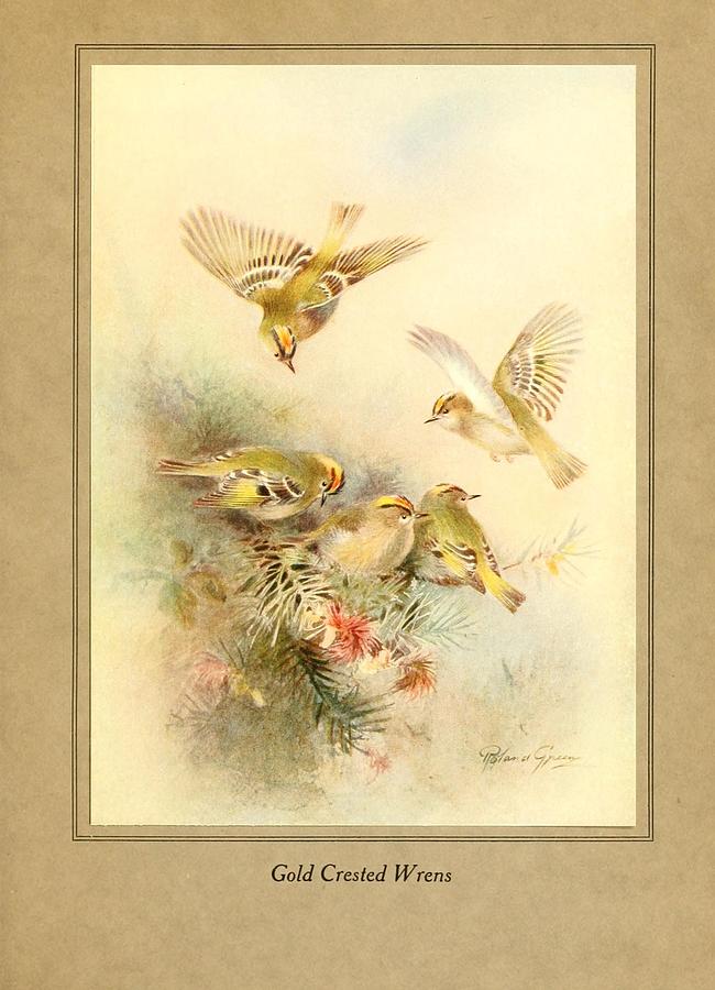 Gold Crested Wrens Painting by World Art Collective