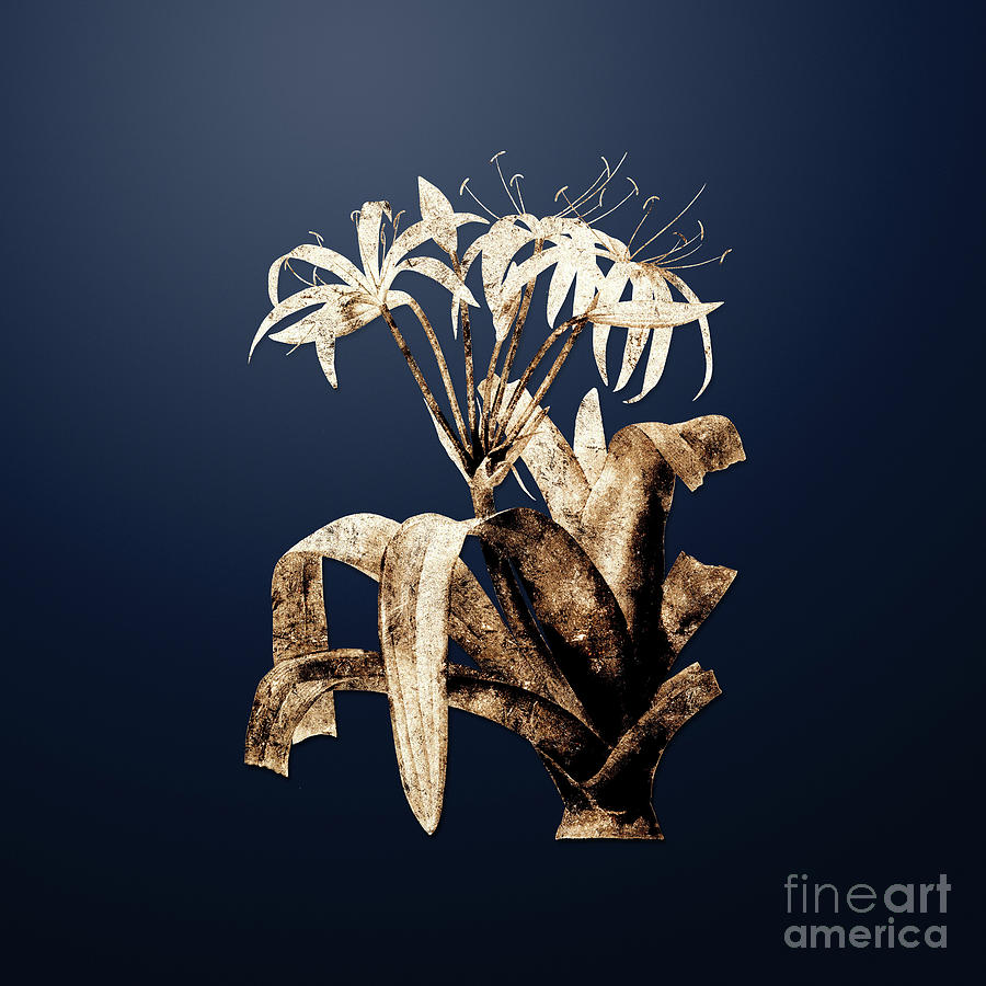 Gold Crinum Erubescens on Midnight Navy n.02499 Painting by Holy Rock Design