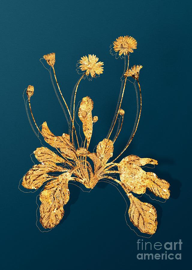 Gold Daisy Flowers Botanical Illustration on Teal Mixed Media by Holy Rock Design