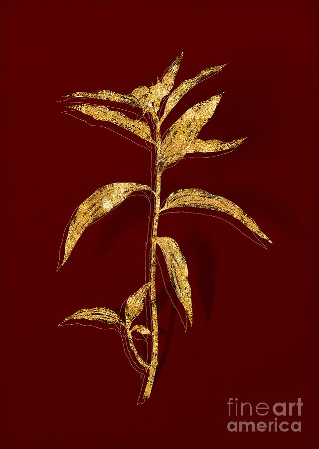 Gold Dayflower Botanical Illustration on Red Mixed Media by Holy Rock Design