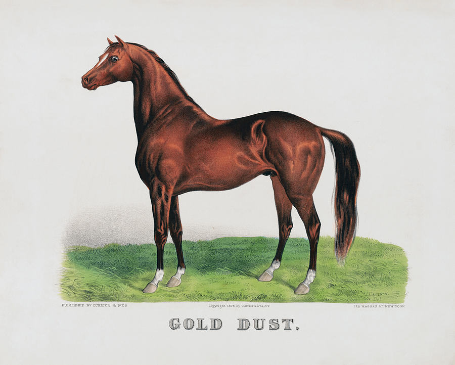 Gold Dust - Vintage Horse Racing - Circa 1875 Drawing by War Is Hell Store