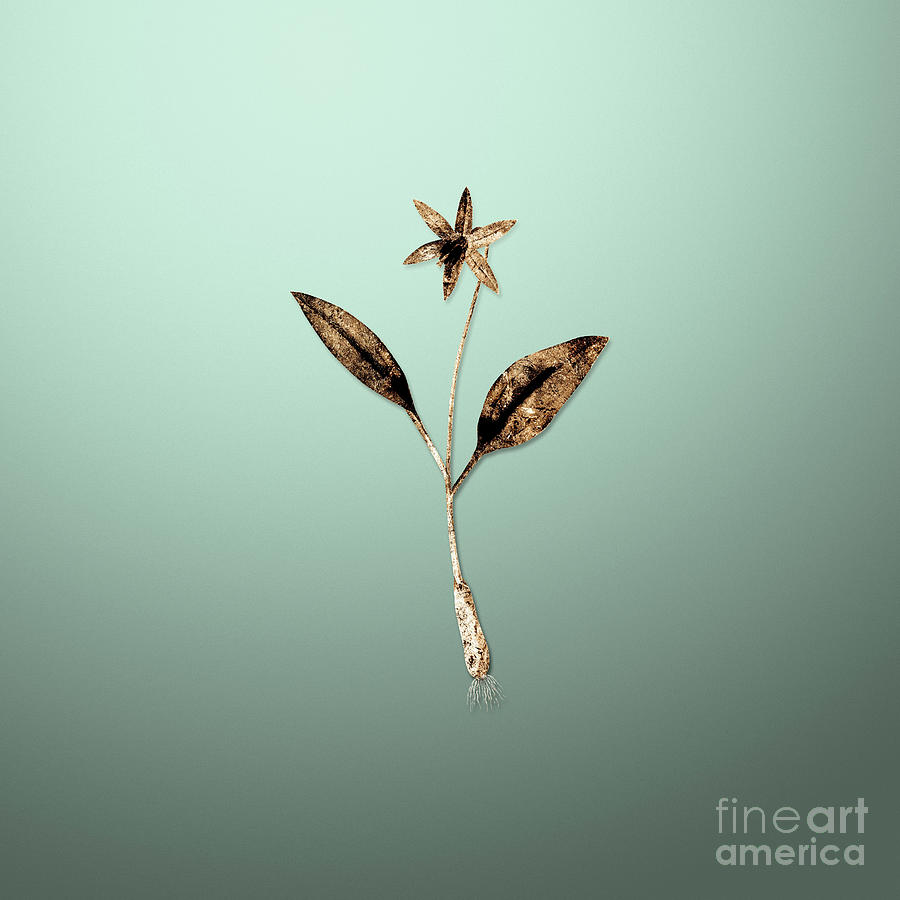 Gold Erythronium on Mint Green n.02106 Painting by Holy Rock Design