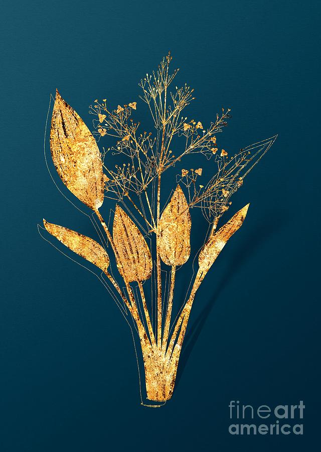 Gold European Water Plantain Botanical Illustration on Teal Mixed Media by Holy Rock Design