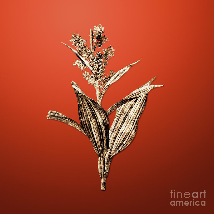 Tomato Painting - Gold False Helleborine on Tomato Red n.04306 by Holy Rock Design
