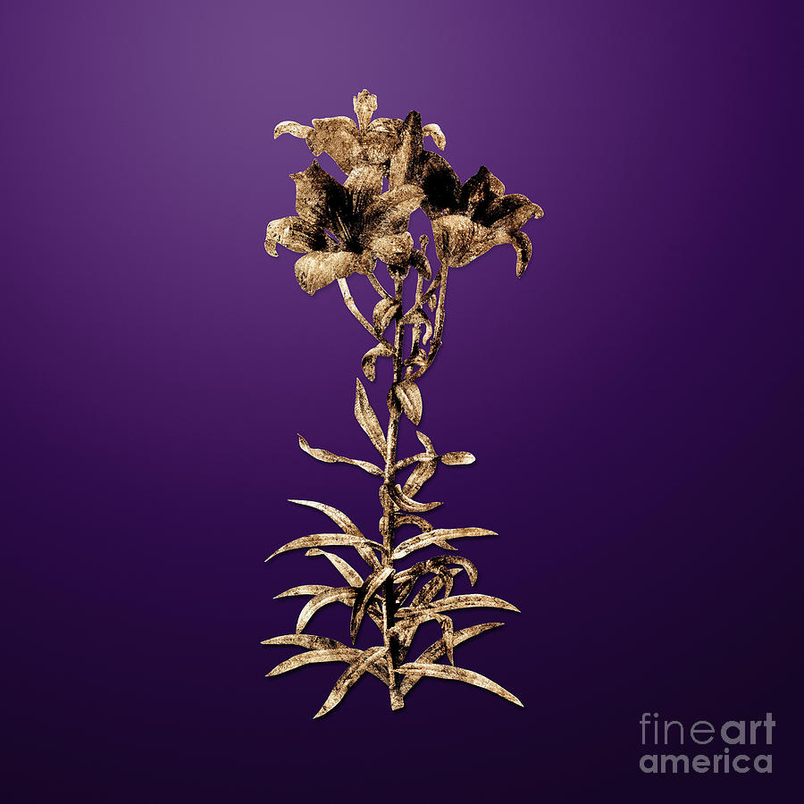 Gold Fire Lily on Royal Purple n.00123 Painting by Holy Rock Design