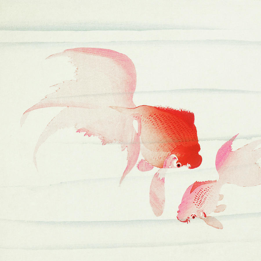 Gold fish Painting by Ohara Koson Gold fish Painting by Ohara Koson