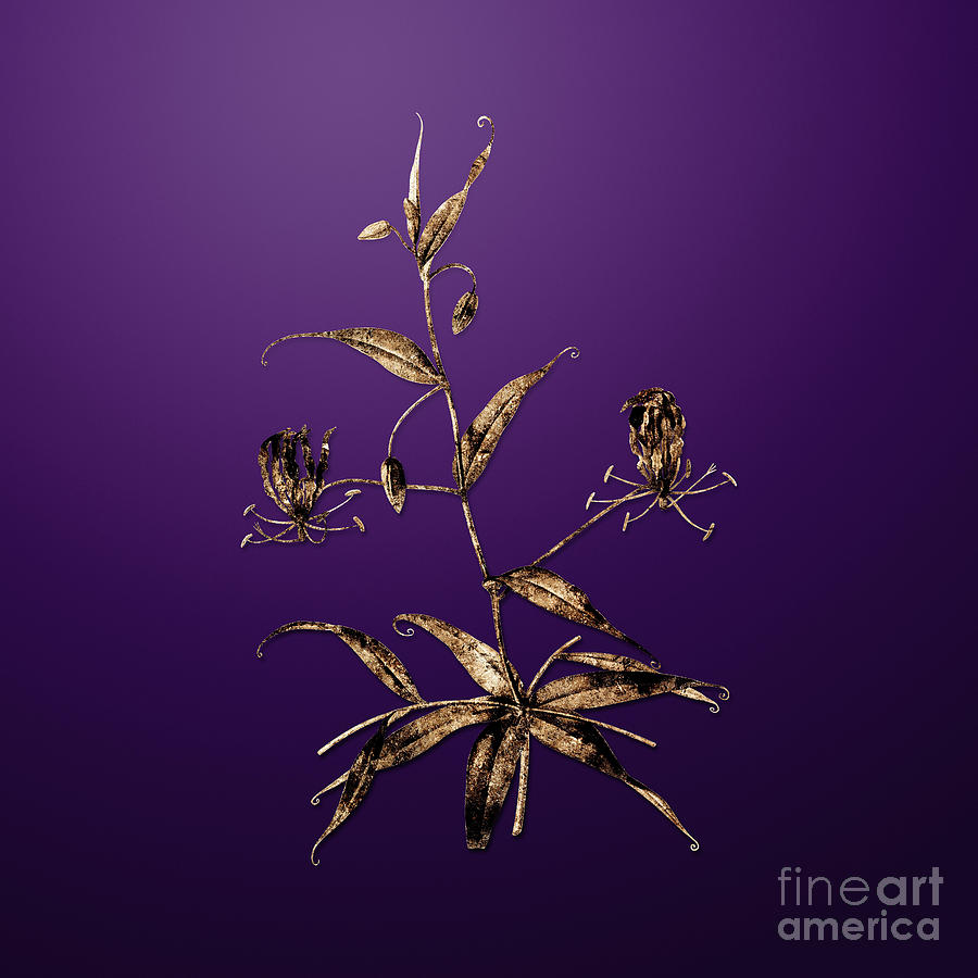 Gold Flame Lily on Royal Purple n.00137 Painting by Holy Rock Design