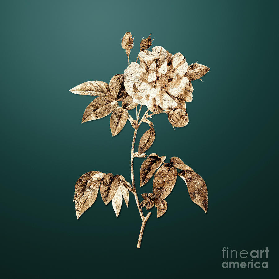 Flower Painting - Gold French Rosebush with Variegated Flowers on Dark Teal n.01465 by Holy Rock Design