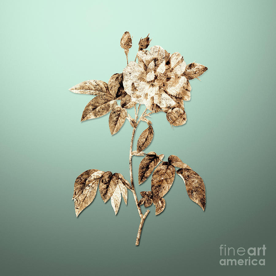 Flower Painting - Gold French Rosebush with Variegated Flowers on Mint Green n.02316 by Holy Rock Design