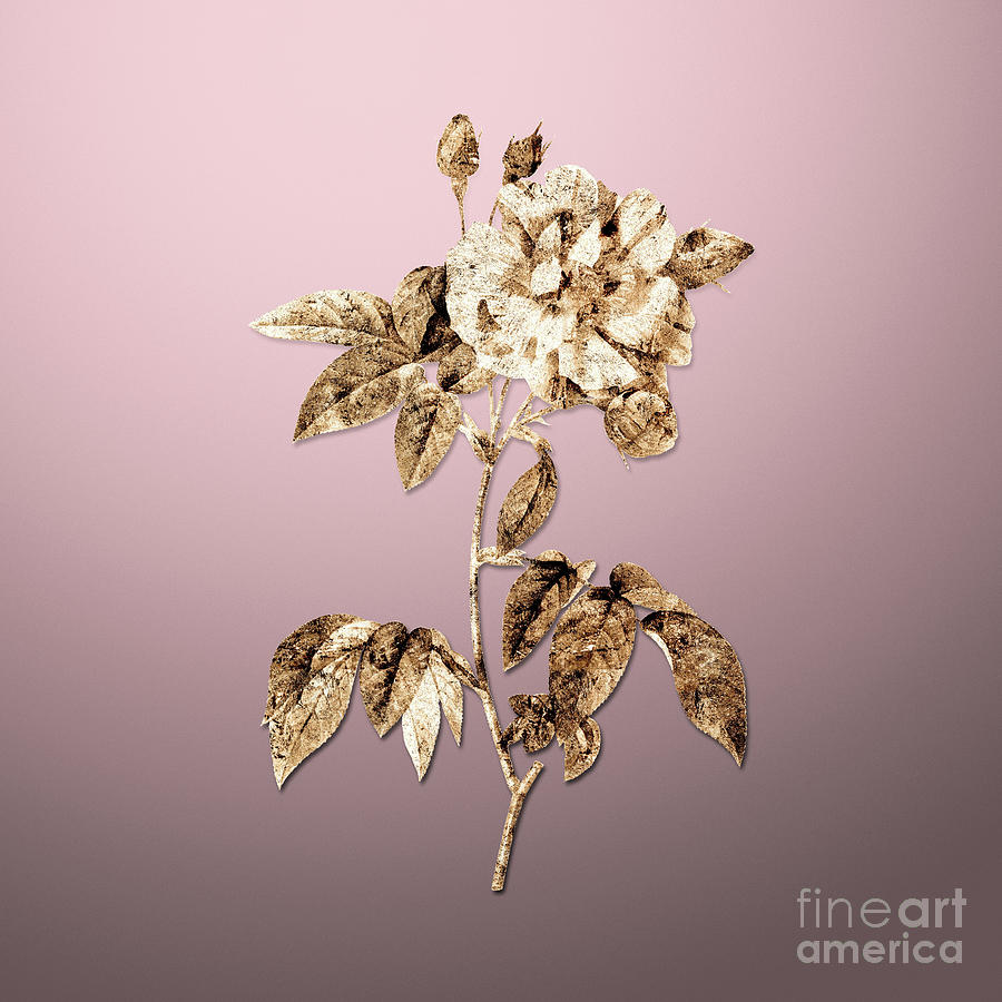Flower Painting - Gold French Rosebush with Variegated Flowers on Rose Quartz n.00807 by Holy Rock Design