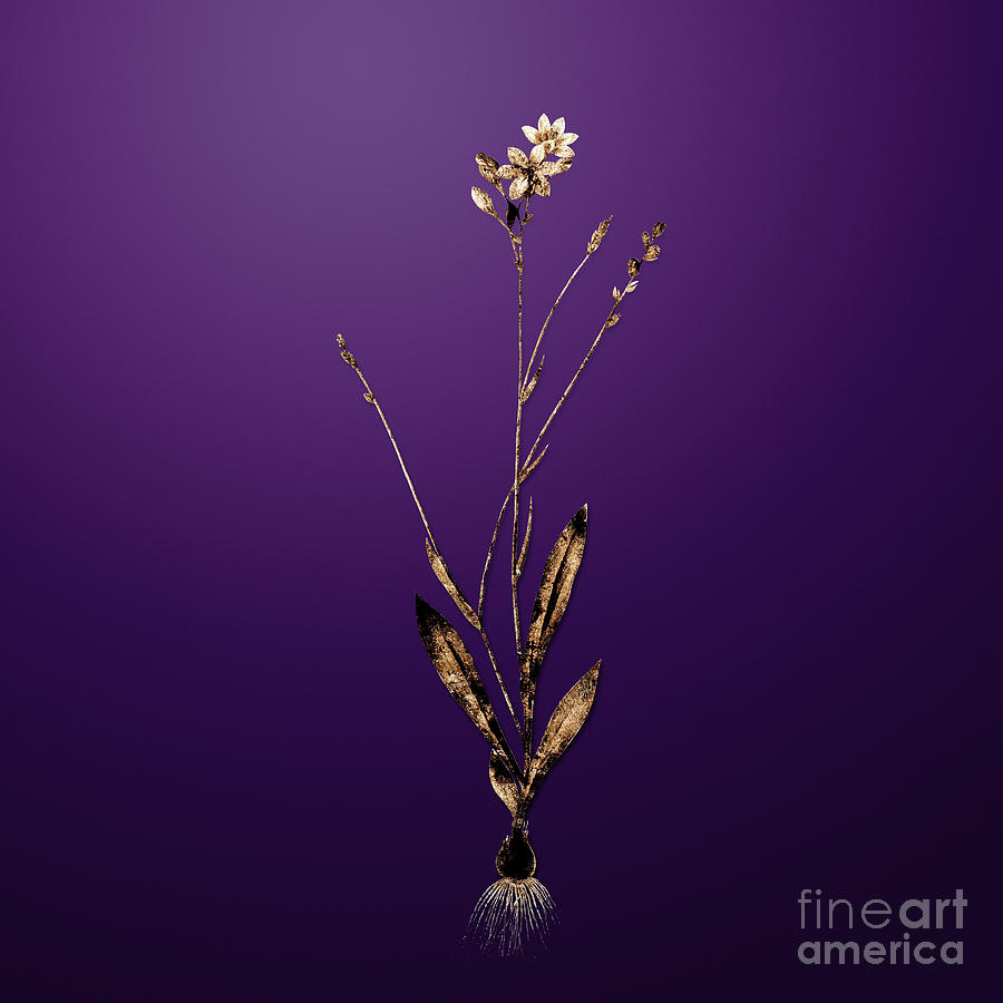 Gold Gladiolus Junceus on Royal Purple n.00417 Painting by Holy Rock Design