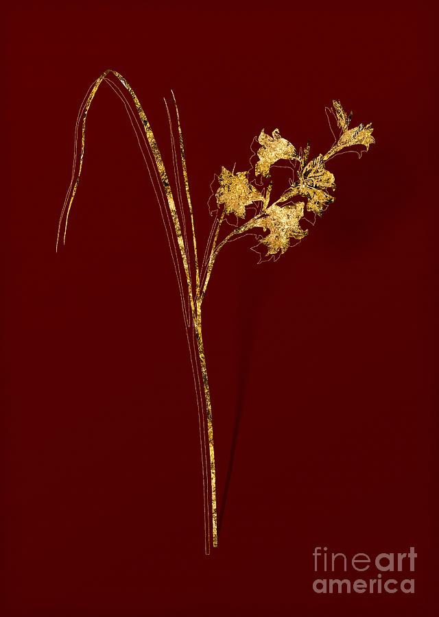 Gold Gladiolus Ringens Botanical Illustration on Red Mixed Media by Holy Rock Design