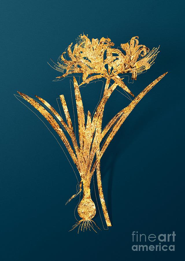 Gold Golden Hurricane Lily Botanical Illustration on Teal Mixed Media by Holy Rock Design