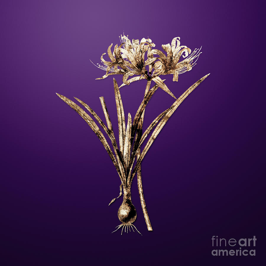 Gold Golden Hurricane Lily on Royal Purple n.00571 Painting by Holy Rock Design