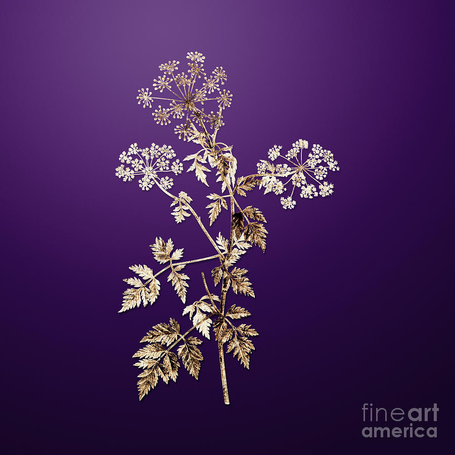Gold Hemlock Flowers on Royal Purple n.00669 Painting by Holy Rock Design