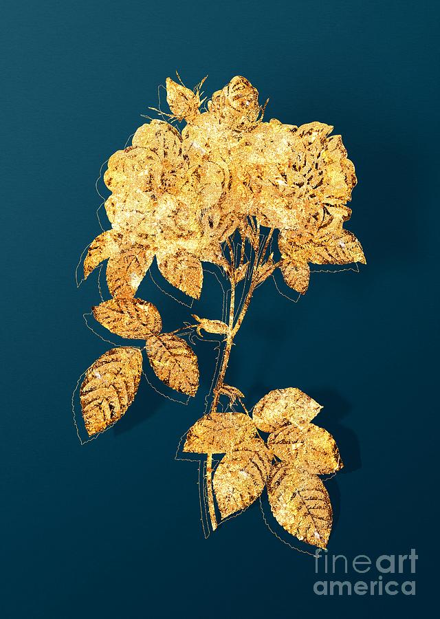Gold Italian Damask Rose Botanical Illustration on Teal Mixed Media by Holy Rock Design