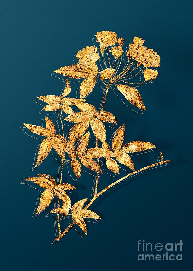 Gold Lady Banks Rose Botanical Illustration on Teal Mixed Media by Holy Rock Design