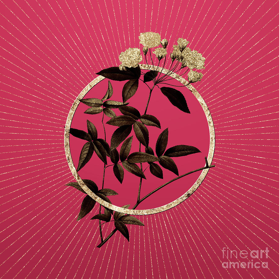 Gold Lady Banks Rose Glitter Botanical Art On Viva Magenta N.0401 Mixed Media
