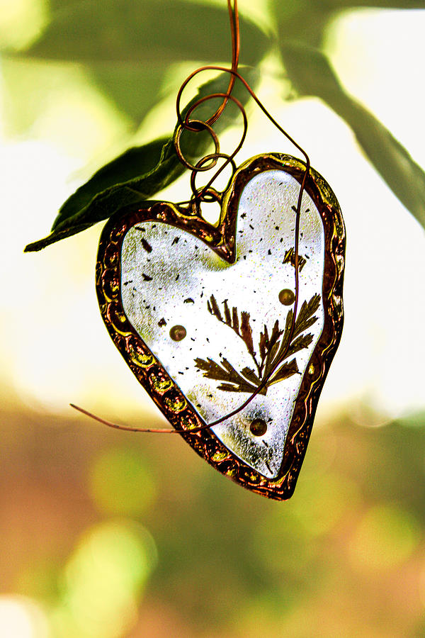 Gold Leaf Heart Photograph by W Craig Photography
