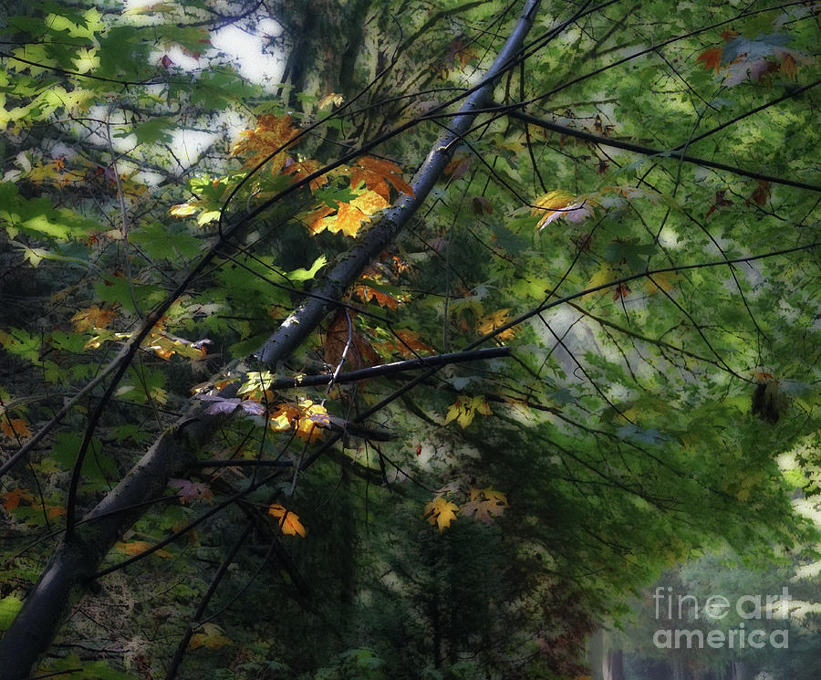 Gold Leaves with Blur Digital Art by Deb Nakano