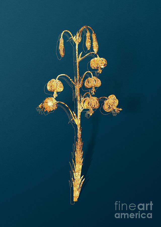 Gold Lilium Pyrenaicum Botanical Illustration on Teal Mixed Media by Holy Rock Design