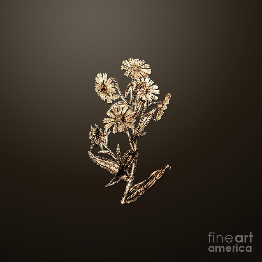 Gold Madia Flower on Chocolate Brown GLDFLWR Painting by Holy Rock Design