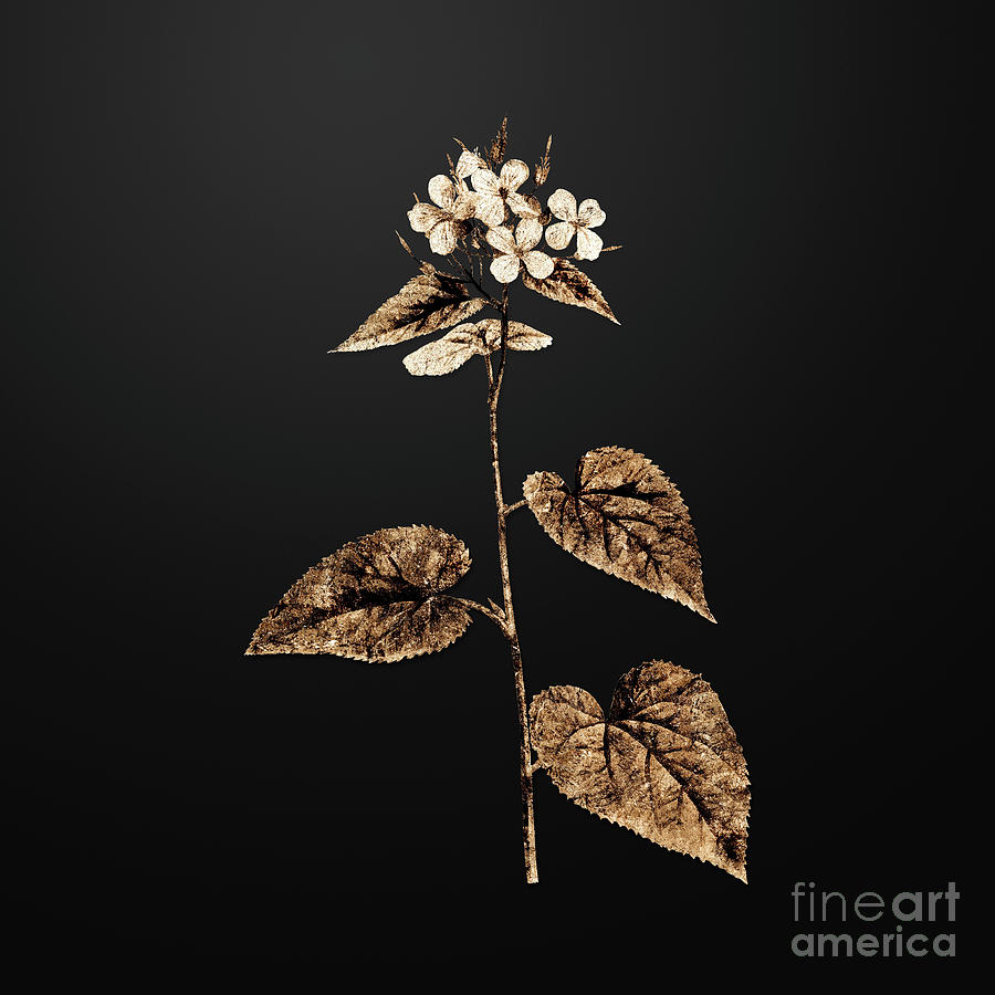 Gold Morning Glory Flower on Wrought Iron Black n.00738 Painting by Holy Rock Design
