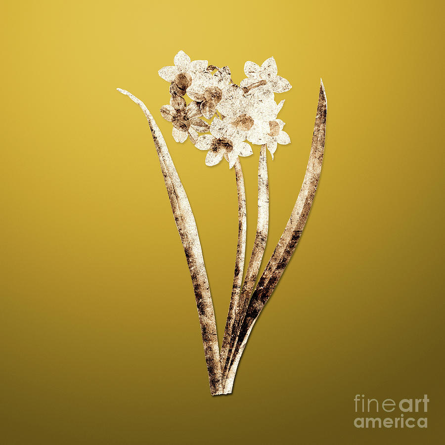 Gold Narcissus Easter Flower on Mango Yellow GLDFLWR Painting by Holy Rock Design