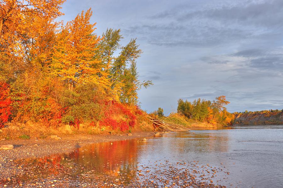 Gold on the River Photograph by Jim Sauchyn