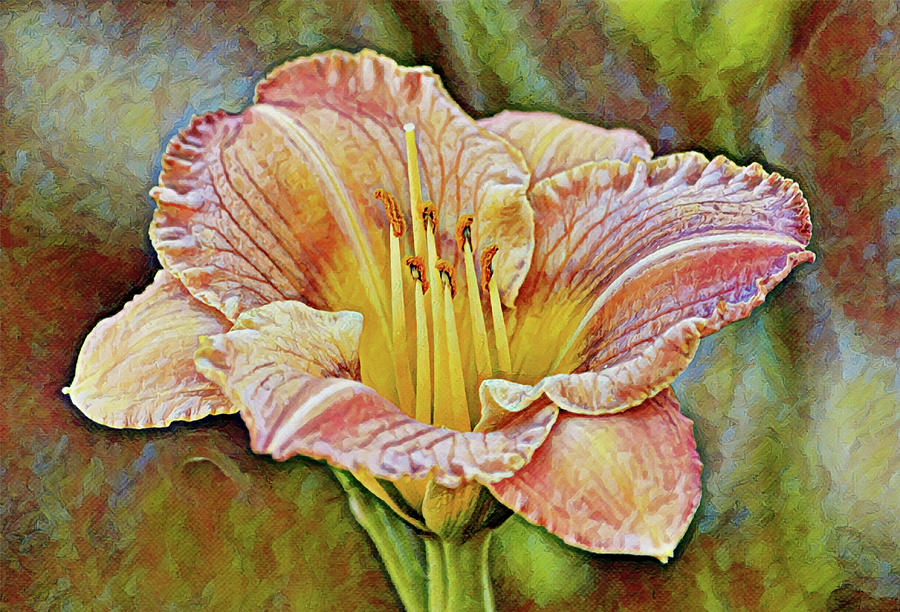 Gold Orange Day Lily Flower Close Up Digital Art by Gaby Ethington