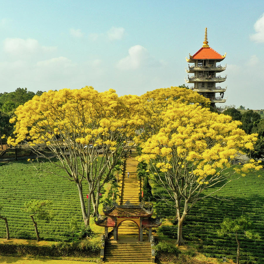 Gold Pagoda #2 Photograph by Khanh Bui Phu