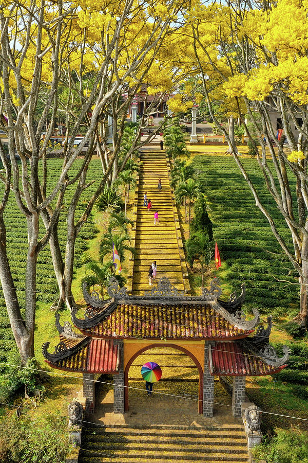 Gold Pagoda Photograph by Khanh Bui Phu