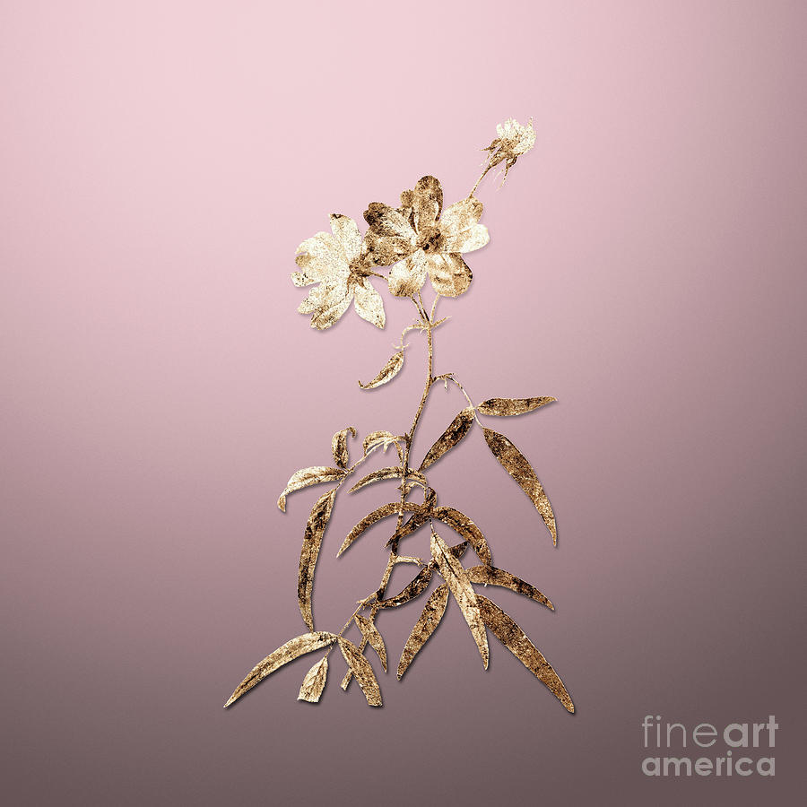 Gold Peach Leaved Rose on Rose Quartz n.02460 Painting by Holy Rock Design