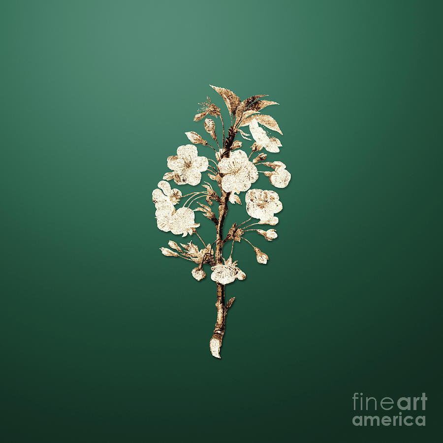 Gold Pear Tree Flowers on Dark Spring Green n.01906 Painting by Holy Rock Design