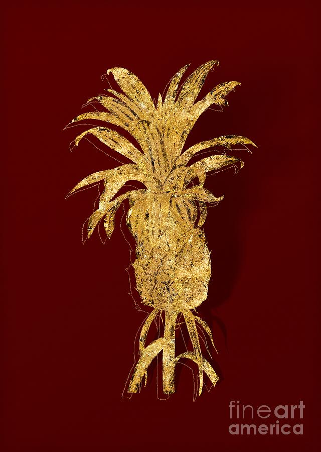 Gold Pineapple Botanical Illustration on Red Mixed Media by Holy Rock Design