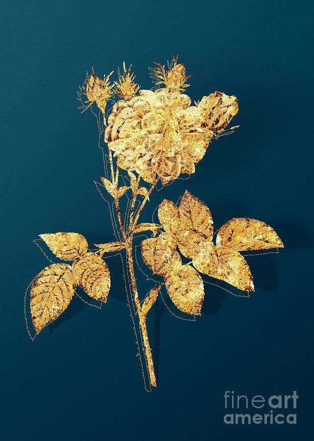 Gold Pink Agatha Rose Botanical Illustration on Teal Mixed Media by Holy Rock Design