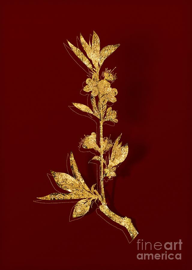 Gold Pink Flower Botanical Illustration on Red Mixed Media by Holy Rock Design